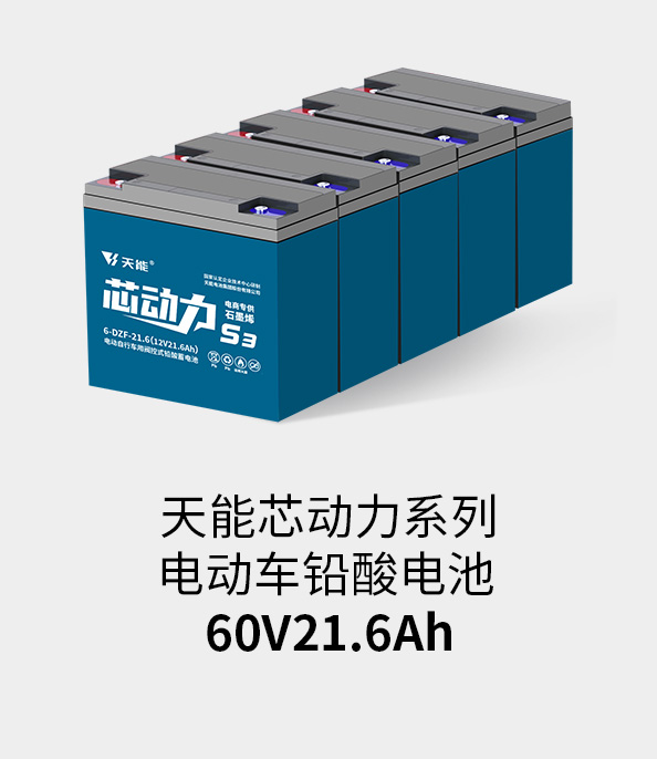 九游会J9(china)官方网站电池60v20ah